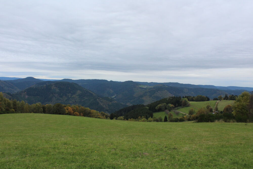 Aussicht über den Schwarzwald